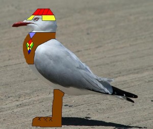 seagull.jpg